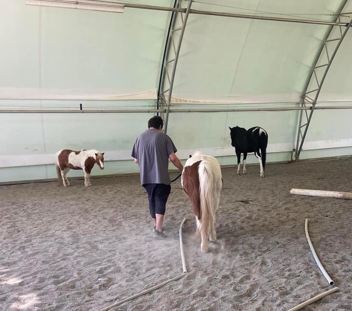 DLB Ranch, Inc | Cottonwood CA