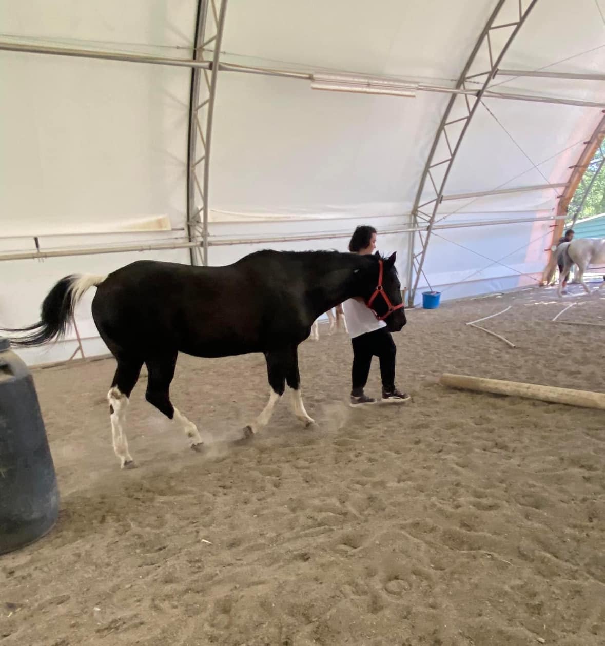 DLB Ranch, Inc | Cottonwood CA