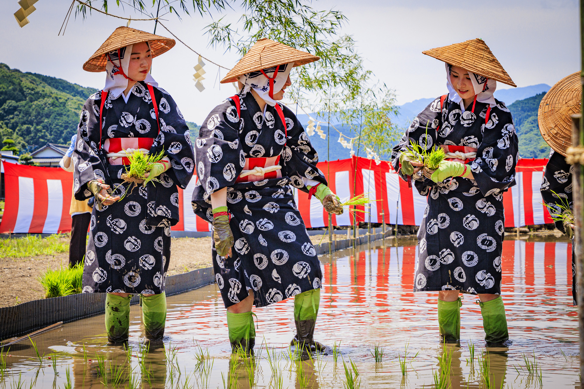Nory Qareeb - Heart Beat Photo Contest “Happiness” 2024... | Facebook
