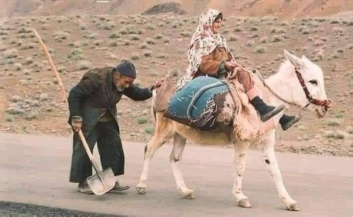 الأصدقاء