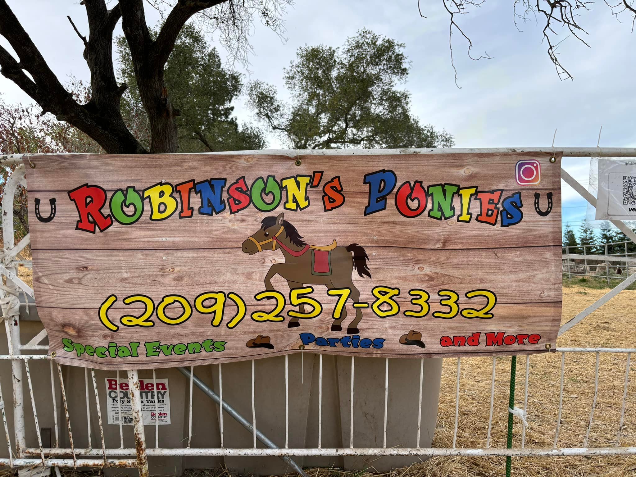 Rickey Ranch Pumpkin Patch | Granite Bay CA