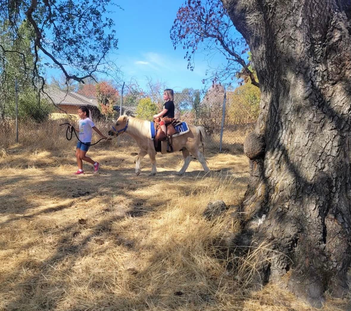 Rickey Ranch Pumpkin Patch | Granite Bay CA