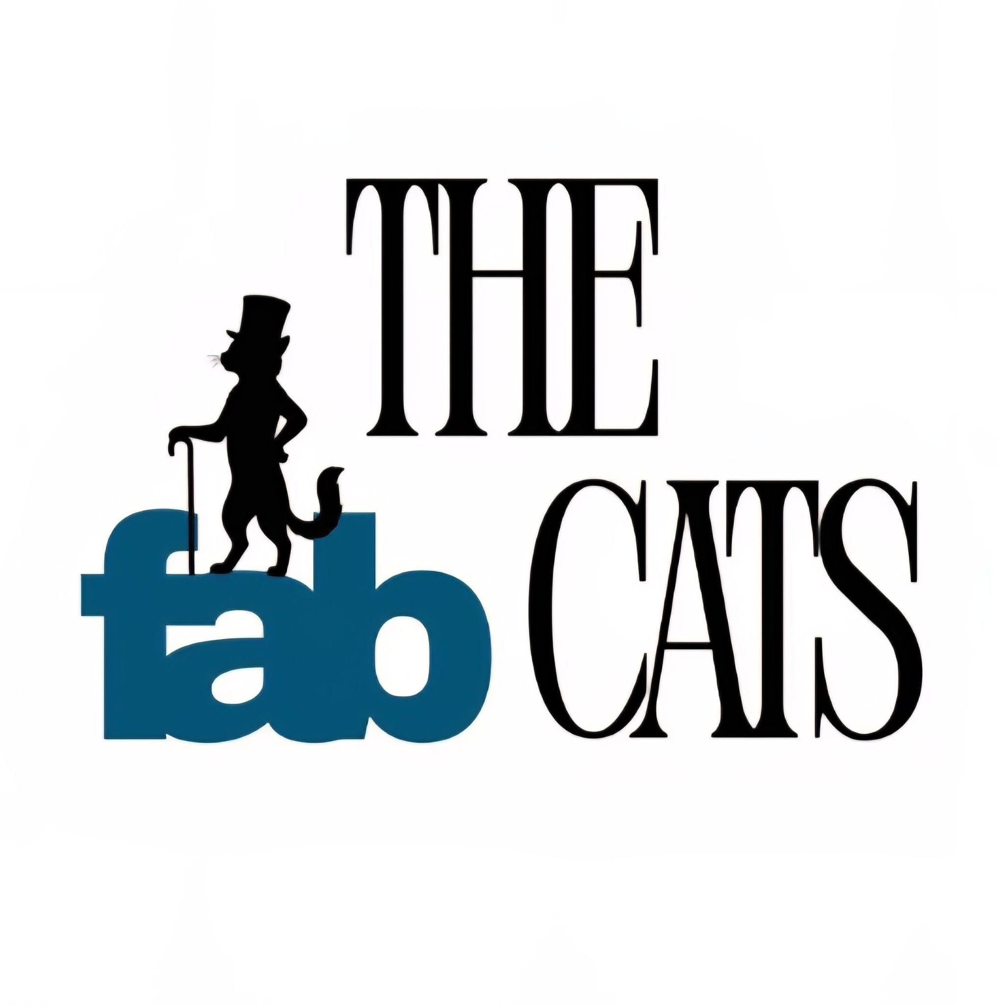 Here's a short compilation from our gig last weekend!👈😊 | The Fab Cats ...