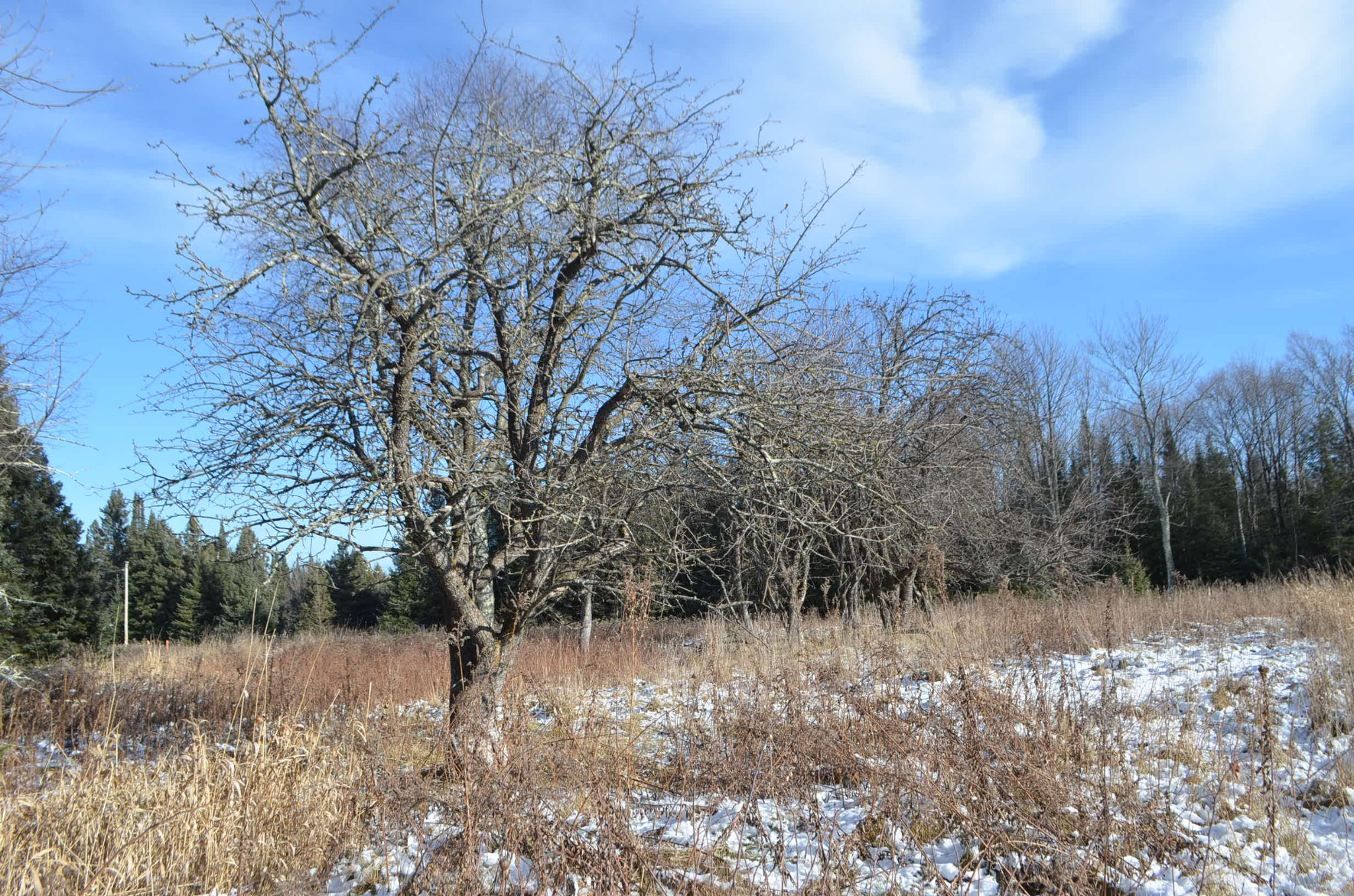 PRICE COUNTY WISCONSIN 510 ACRES Property For Sale Park Falls