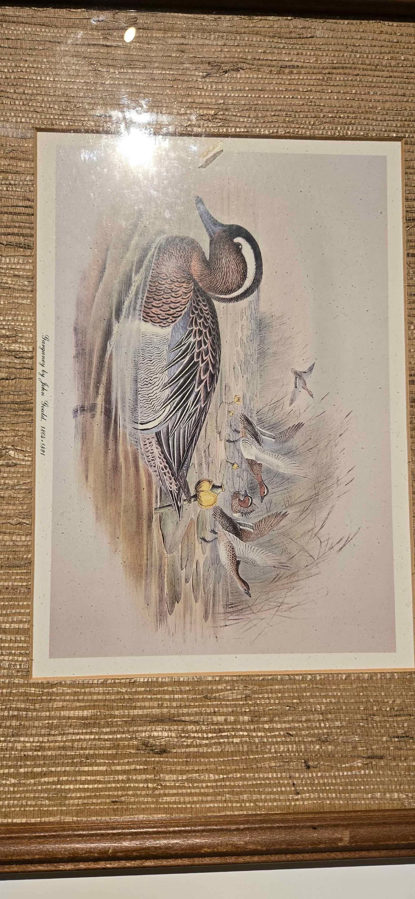 Beautifully framed and triple-matted wildlife art print titled