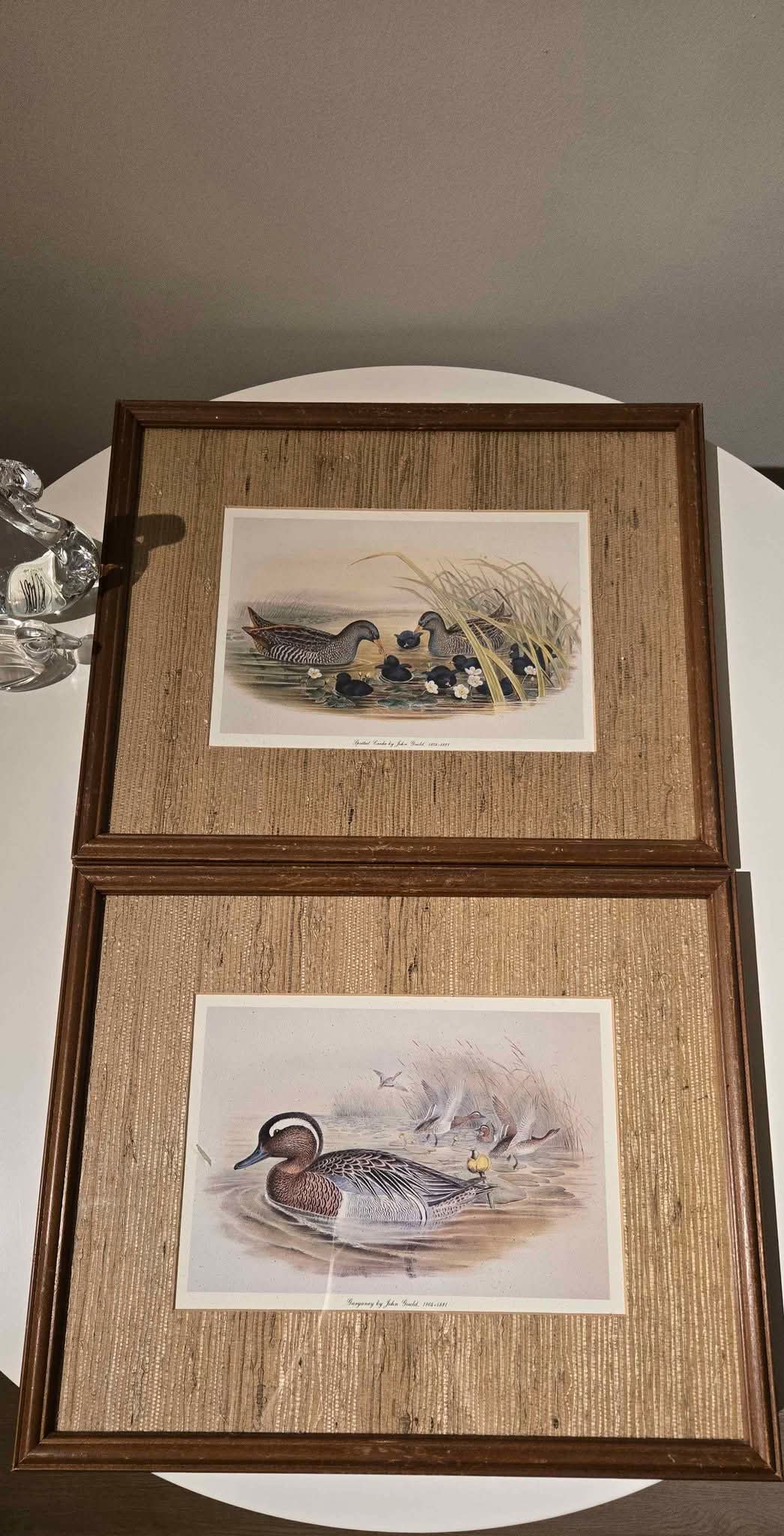 Beautifully framed and triple-matted wildlife art print titled