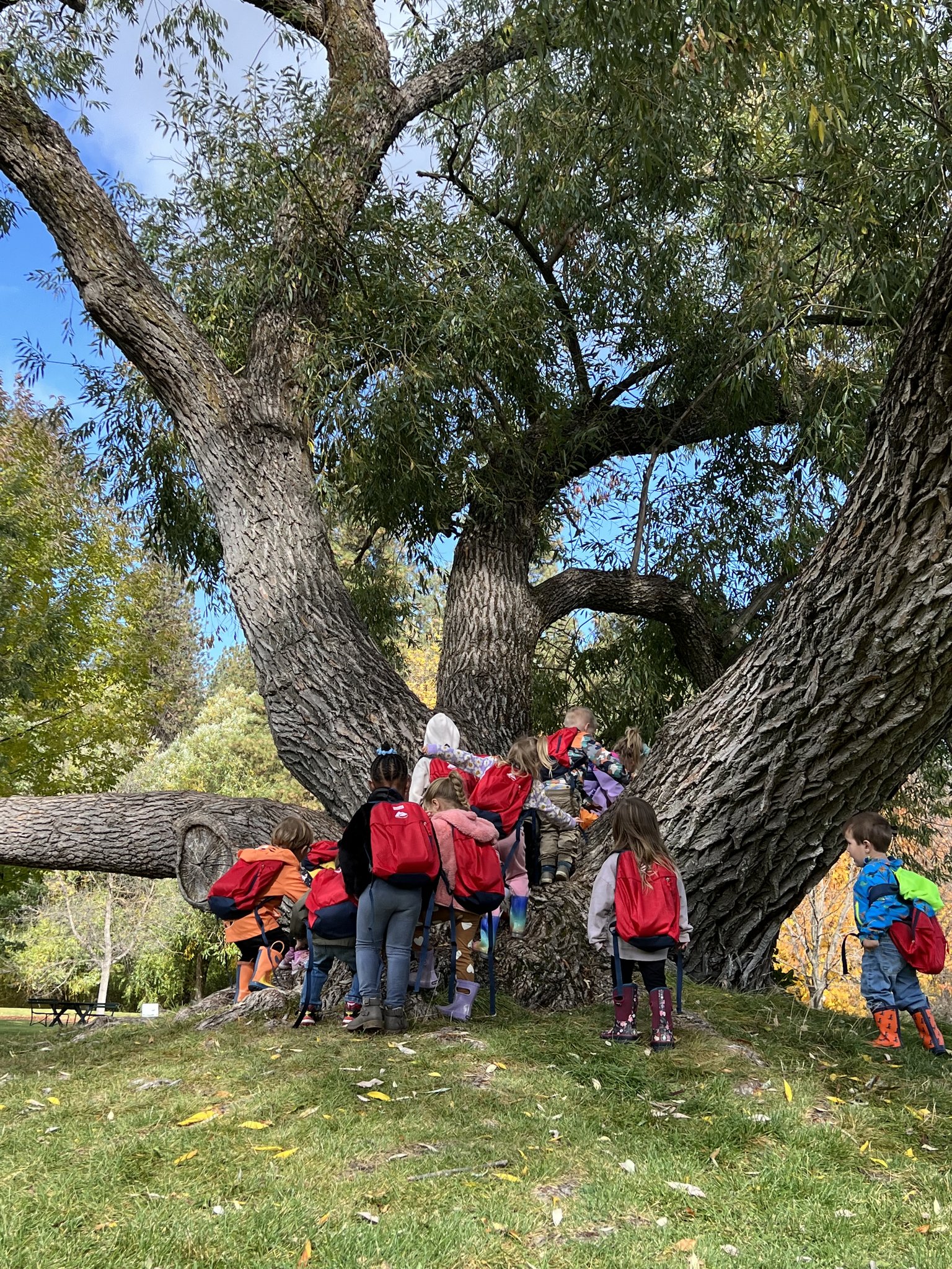 Into the Forest Learning Center | Spokane Valley WA
