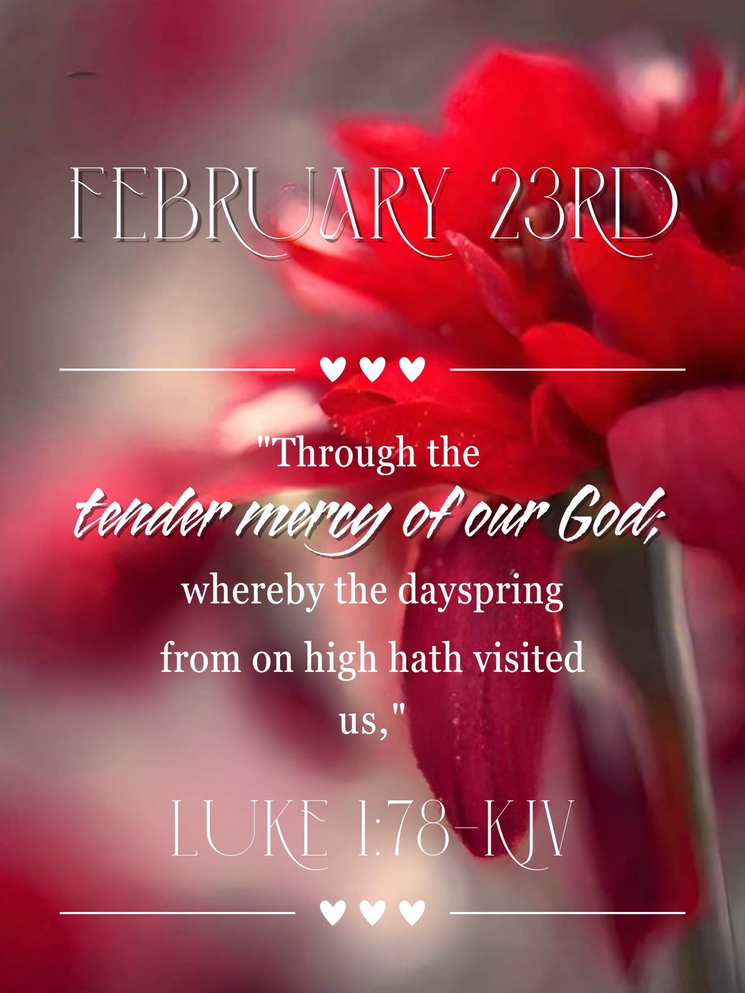 White Oak Baptist Church | Millers Creek NC