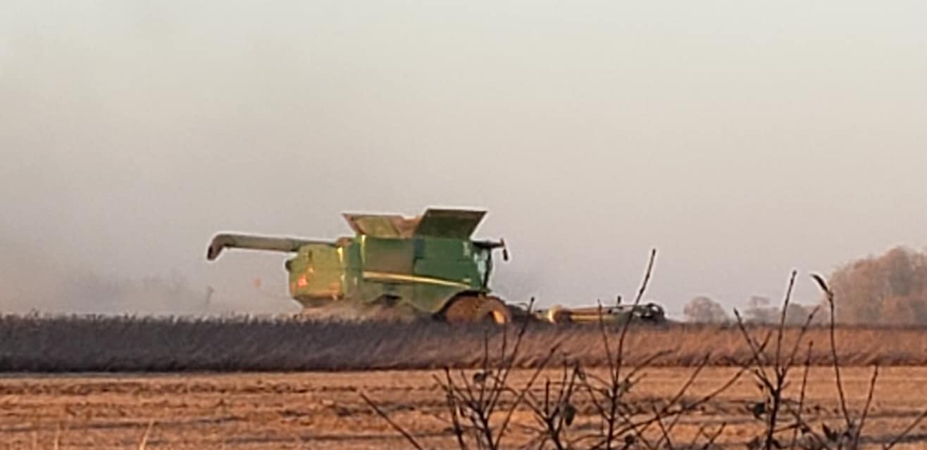 What a beautiful November day to... - Goshen Ridge Farms Inc.