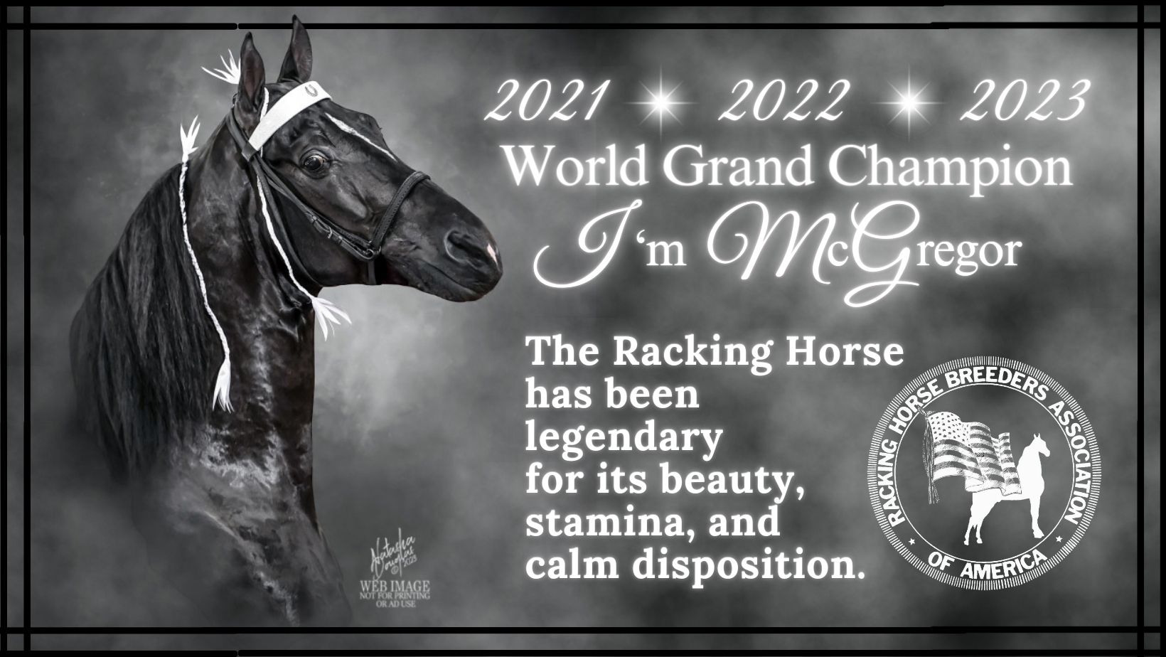 Racking Horse Breeders Association of America | Decatur AL