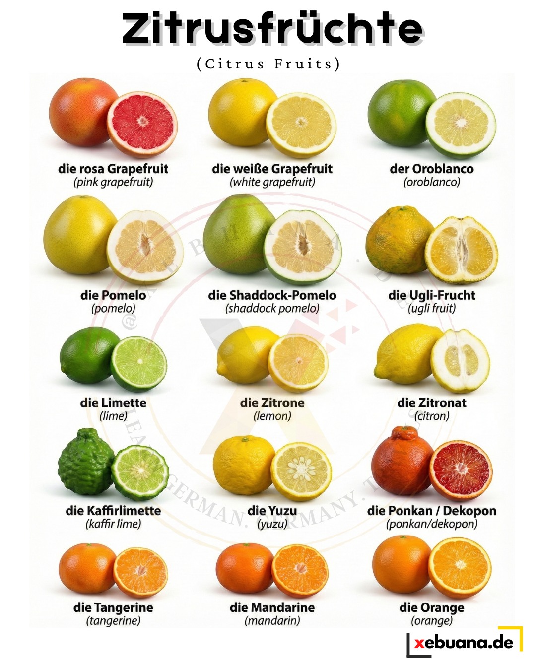 Xebuana.de - 🍊 Zitrusfrüchte 🍊 Citrus Fruits These are... | Facebook