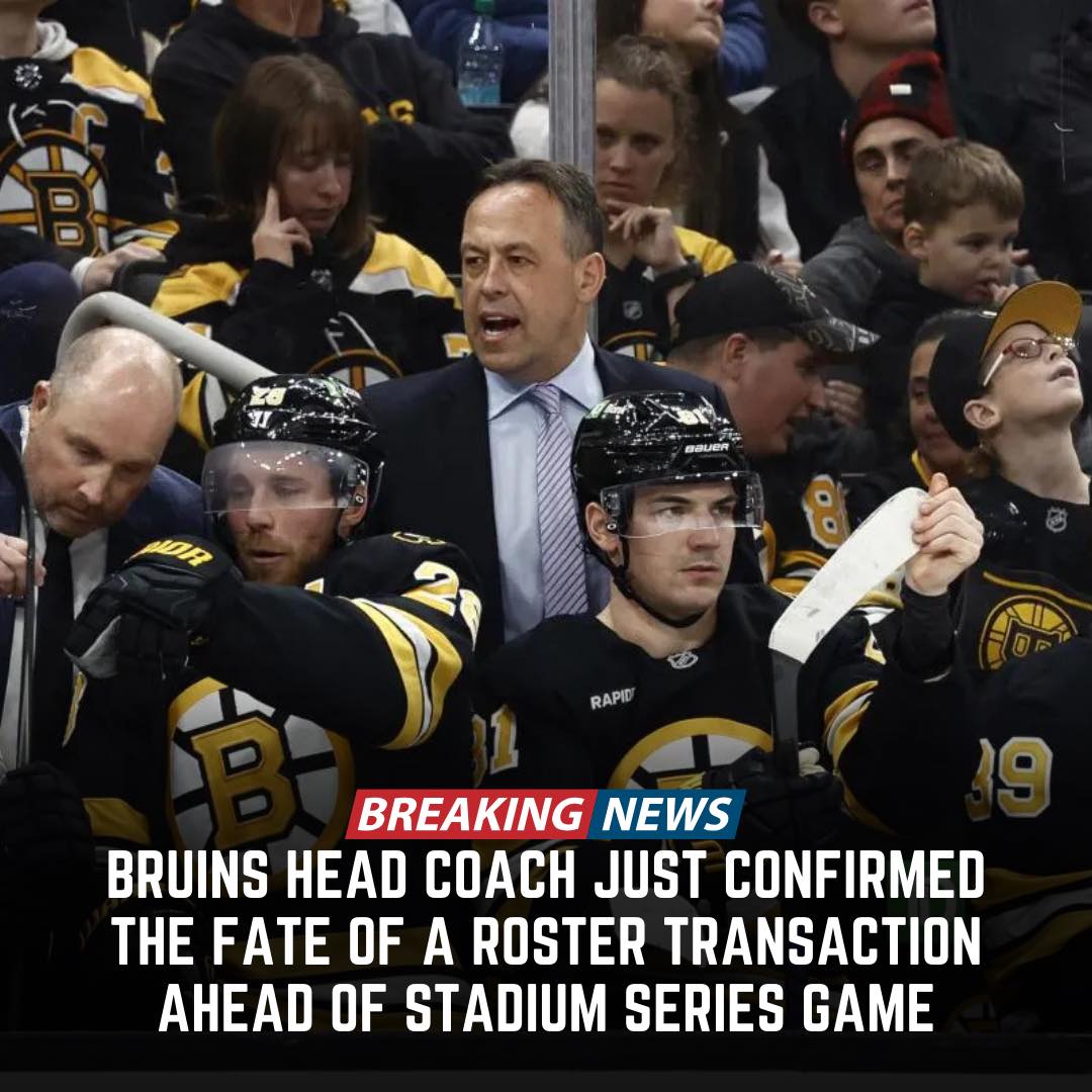 Boston - Sturm just confirmed it🚨.. Check comments for details: | Facebook