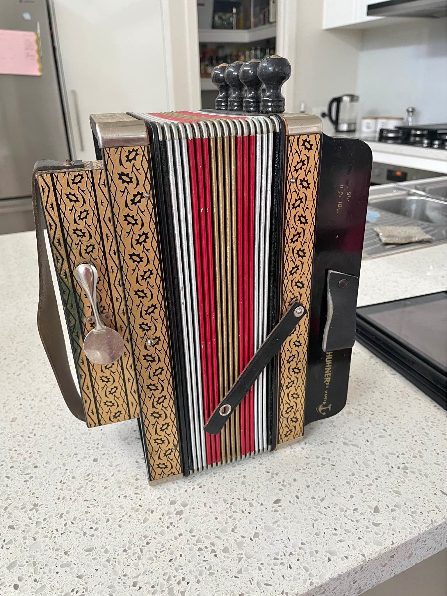 在瑪麗伯勒拍賣的Harmonicas | Facebook Marketplace | Facebook