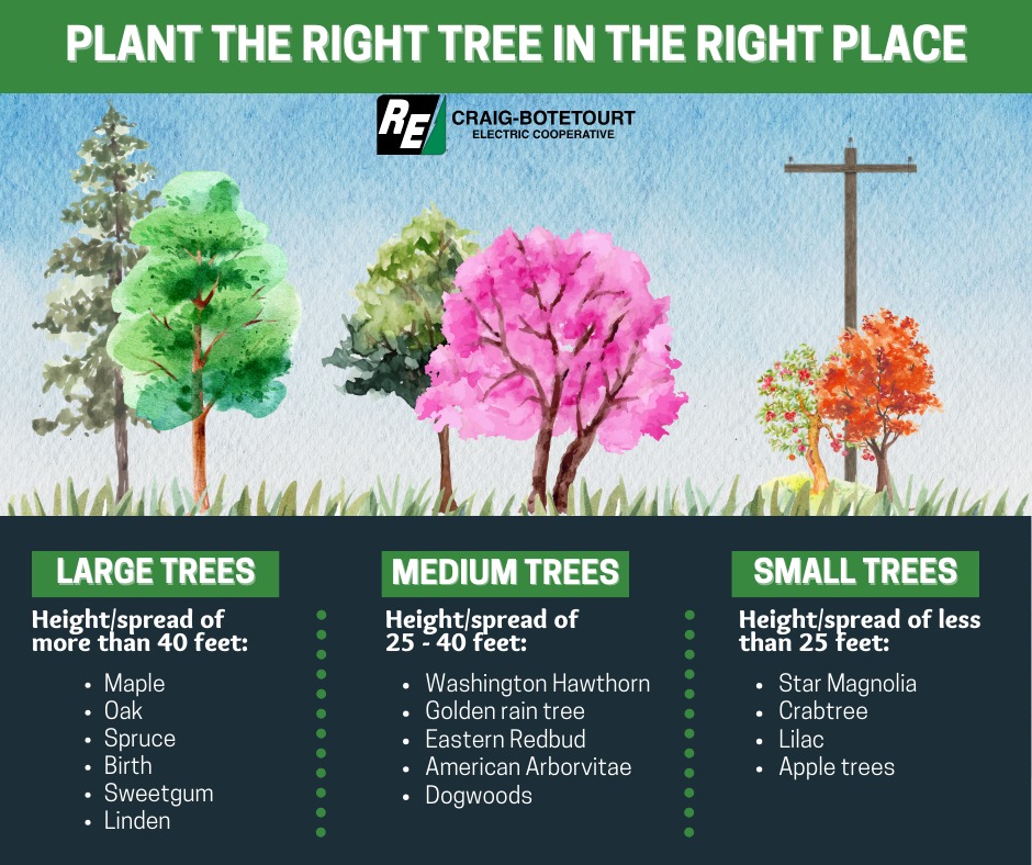 🌳 Trees beautify... - Craig Botetourt Electric Cooperative