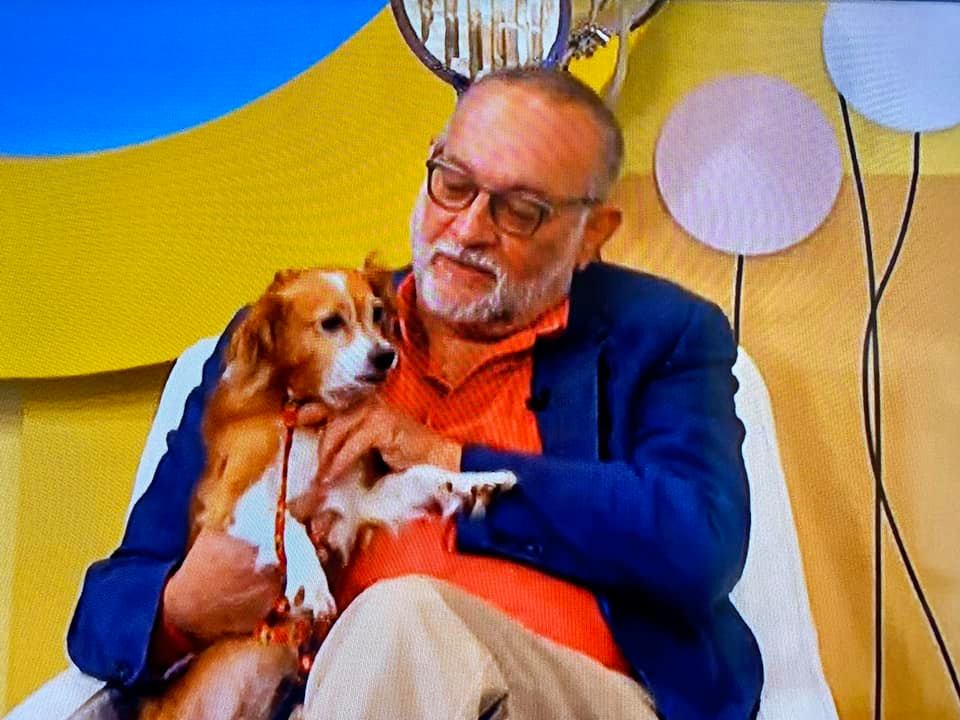 Luis Pabón Roca - 🐕 ¿Ya conoces a Picasso? Te presento al...