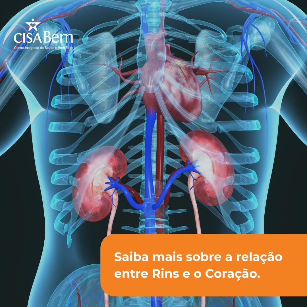 Localizacao Dos Rins E Estomago Josilaine Rocha L Terapia Integrativa