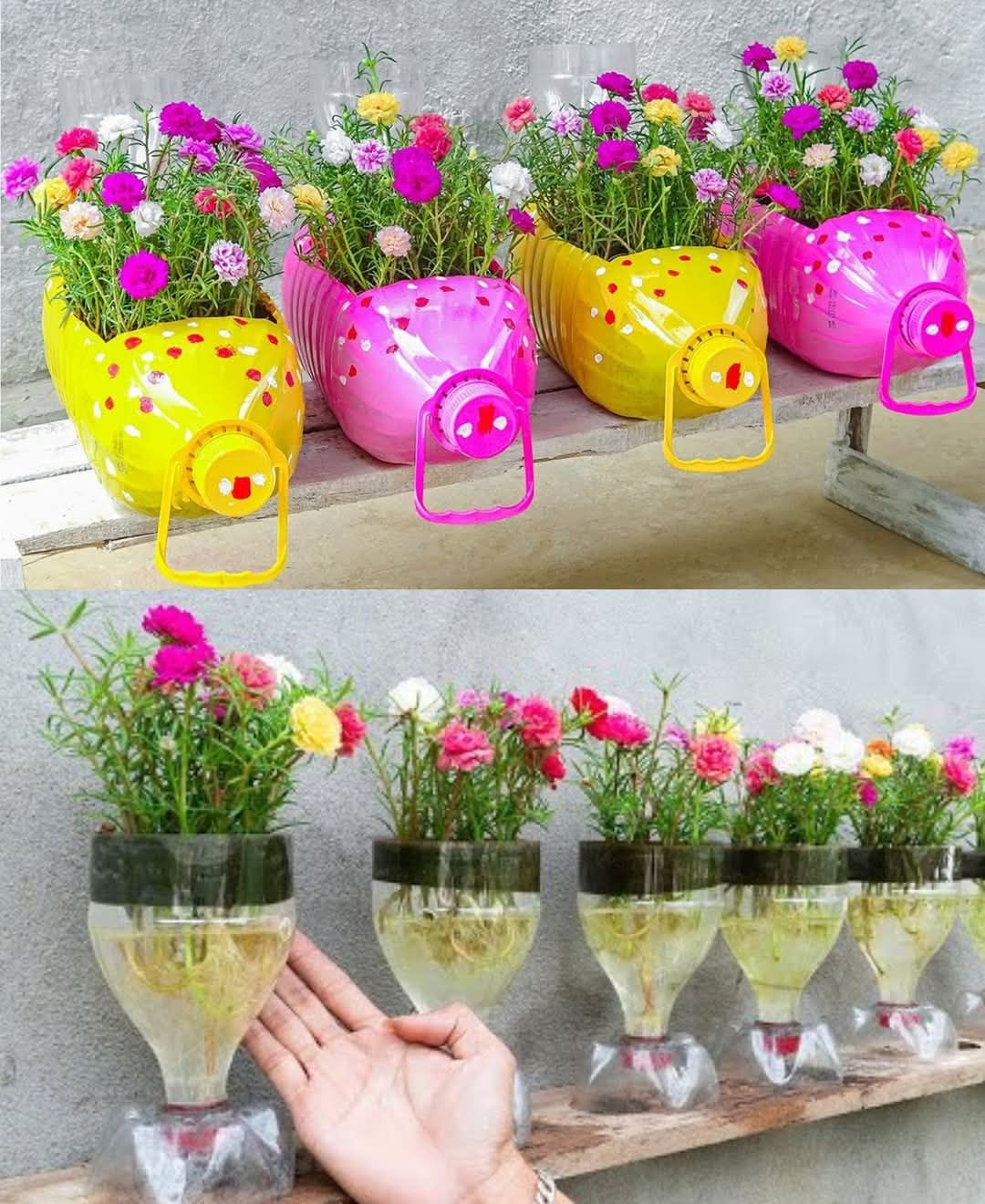Are Plastic Garden Pots Recyclable: Eco-Friendly Insights