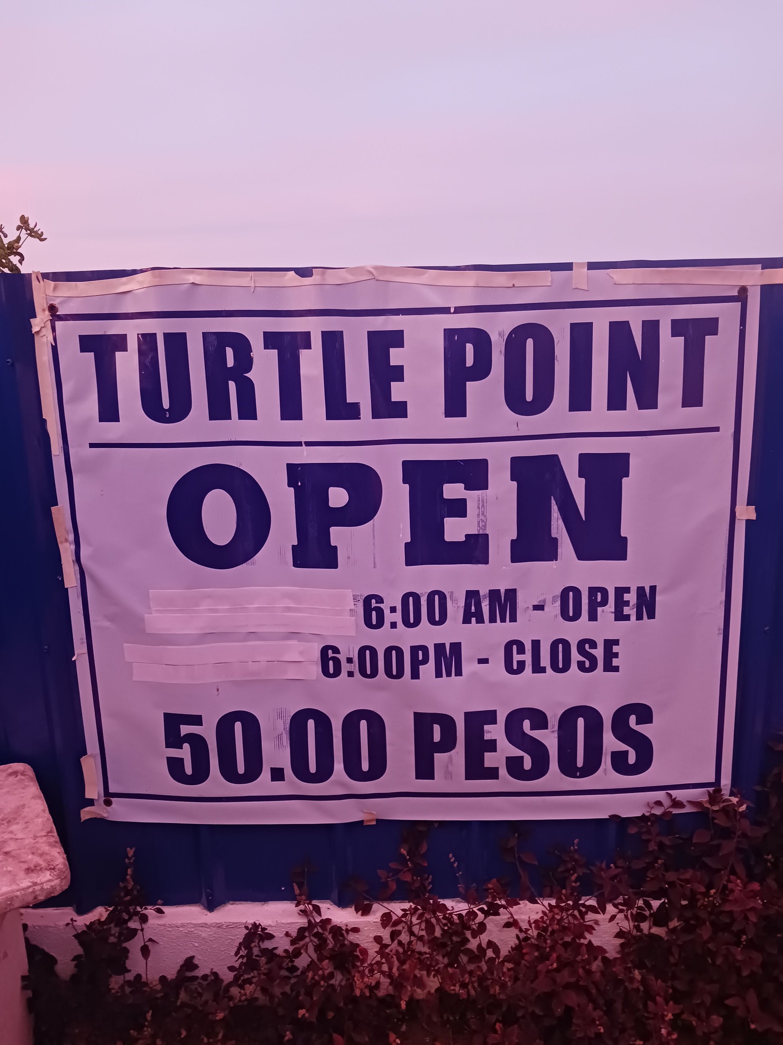Turtle Point Beach Resort | Catmon