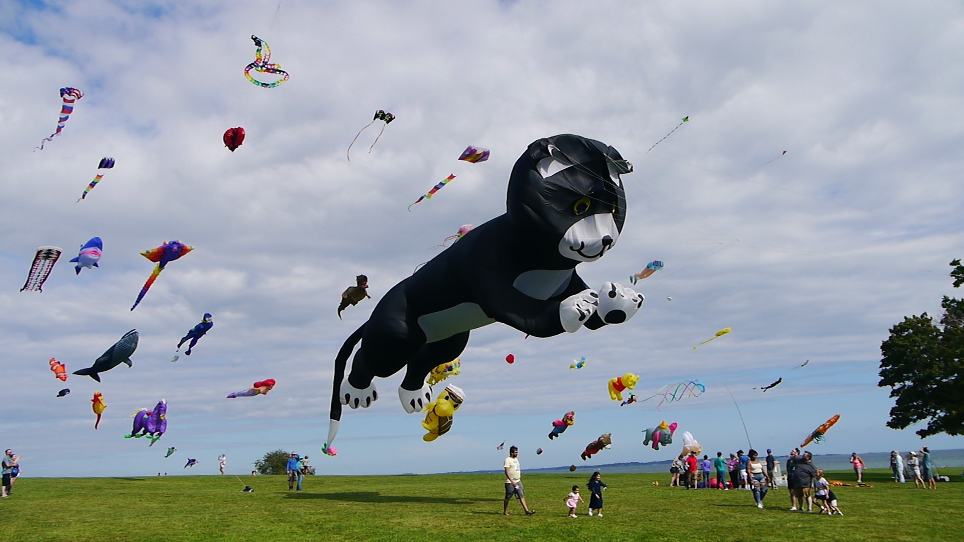Free Kite Display - Sunday, April 26th at Harkness Memorial State Park