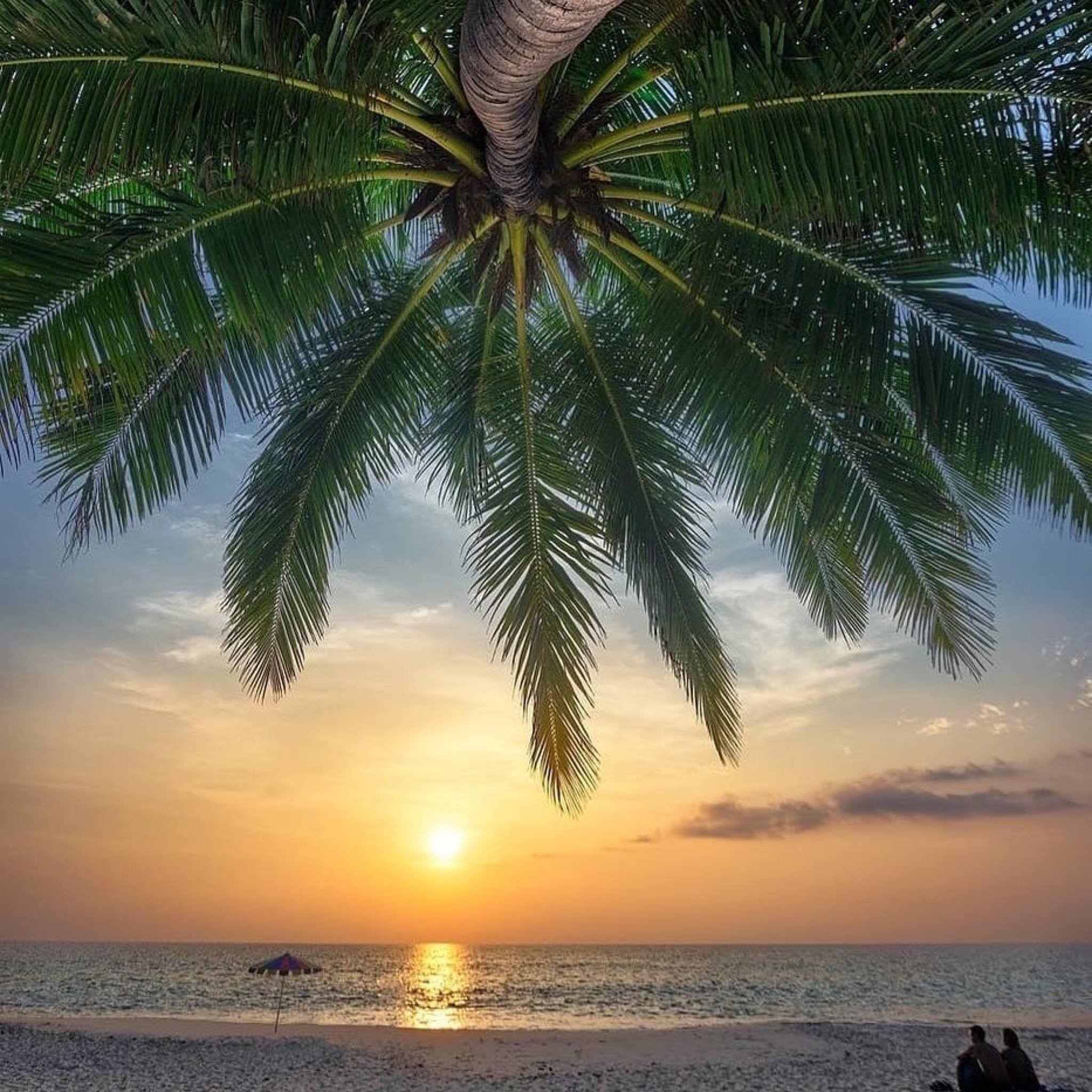 The Colors of Phuket