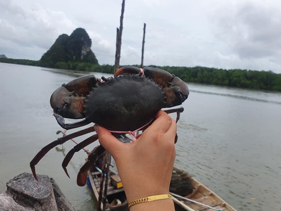 ปูทะเล by พิงกันกินปู