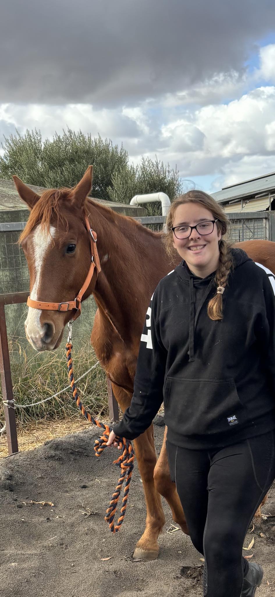 Warwick Rosebud Horse Rides... - Warwick Rosebud Horse Rides