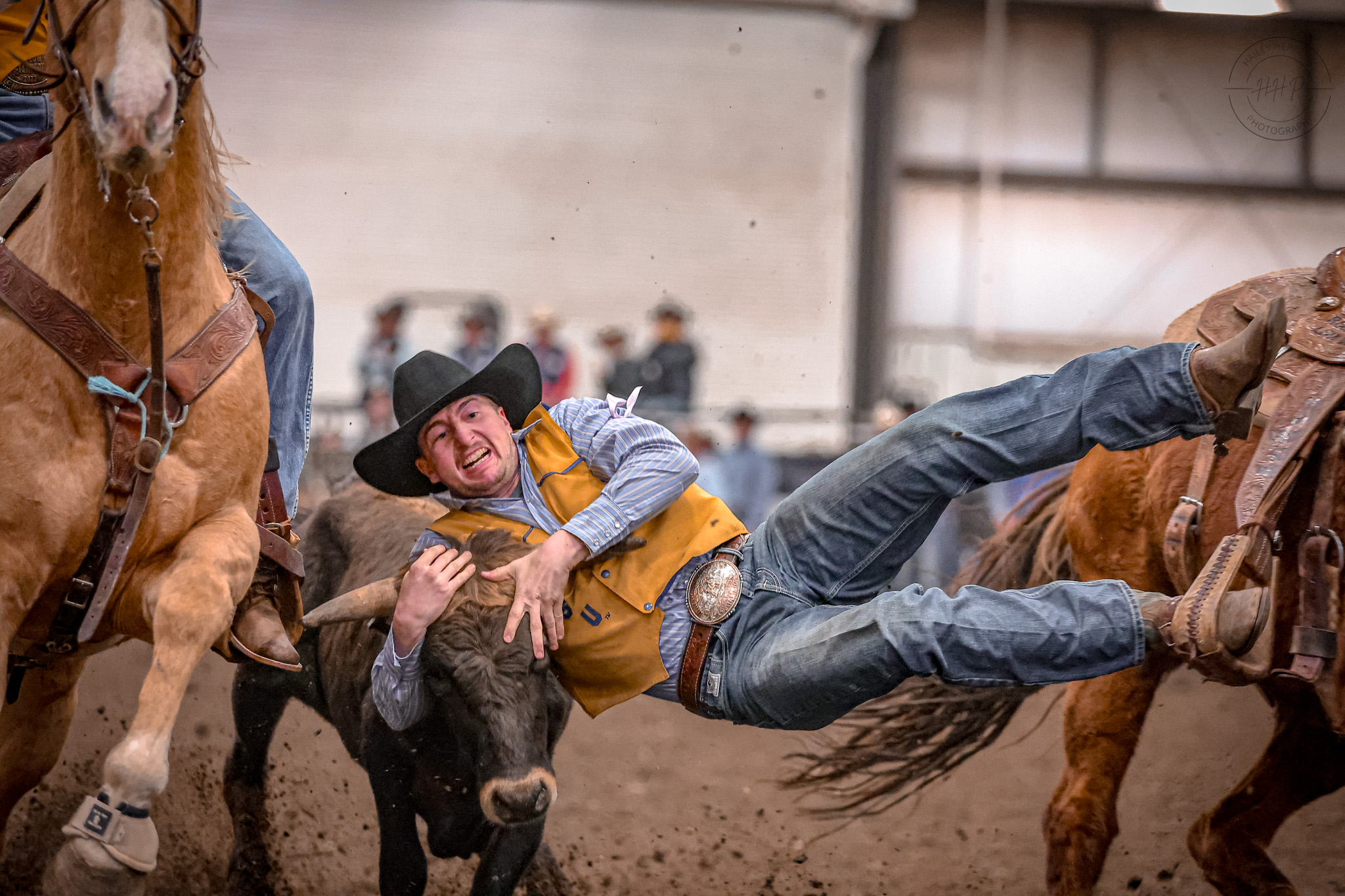 ISU Cyclone Stampede Rodeo | Ames IA
