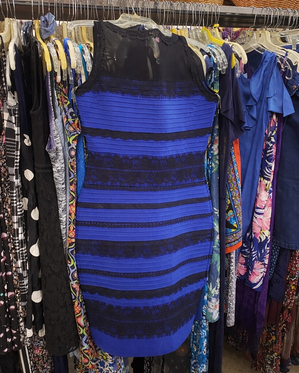 Does anyone remember when this thrift store dress was famous?