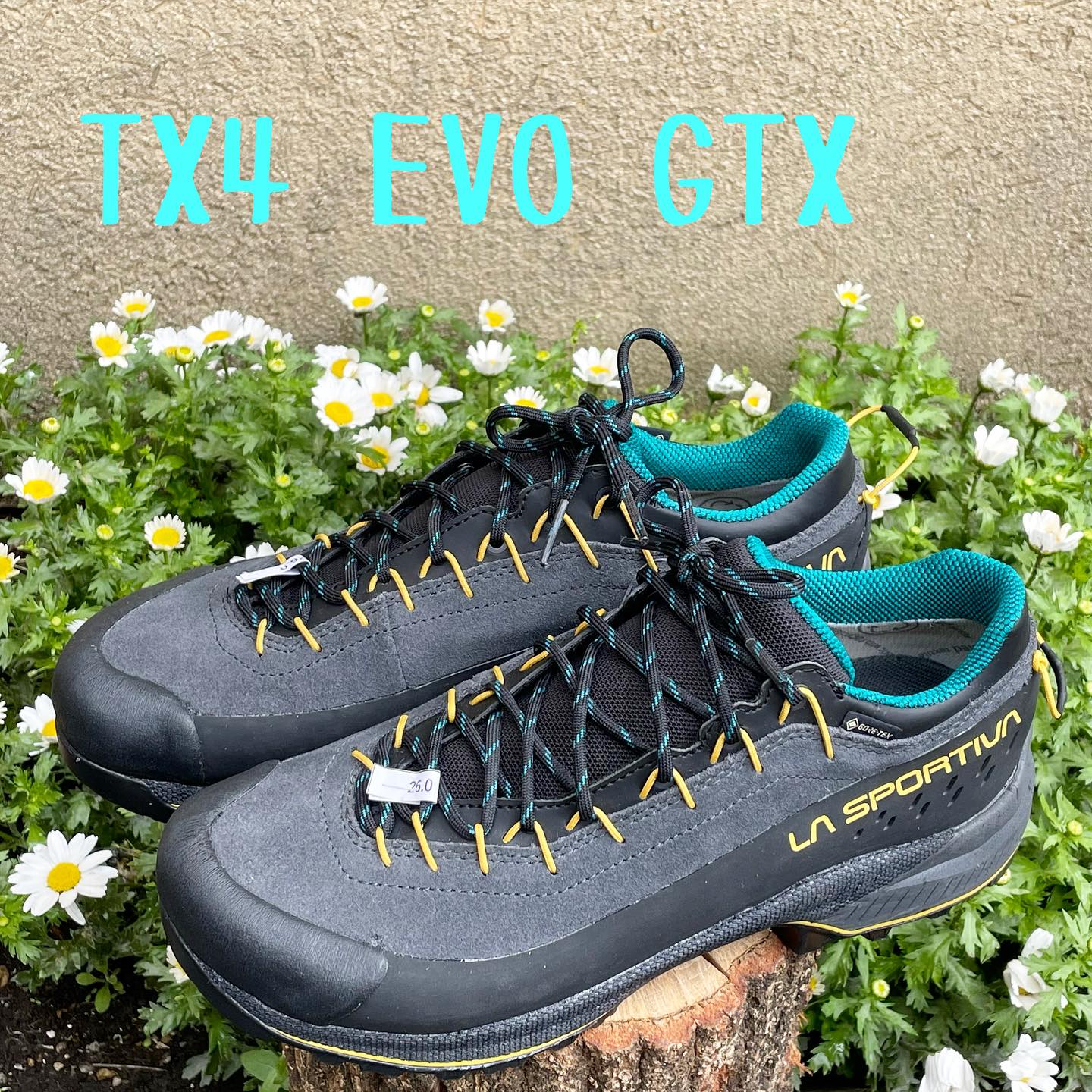LA あわす SPORTIVA スポルティバ TX4 Low GTX