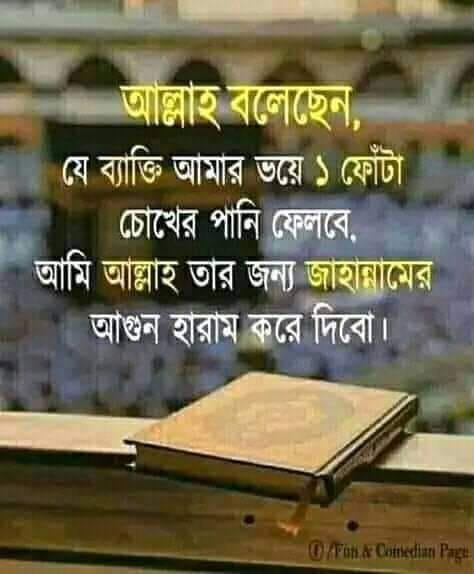 The Islamic Information