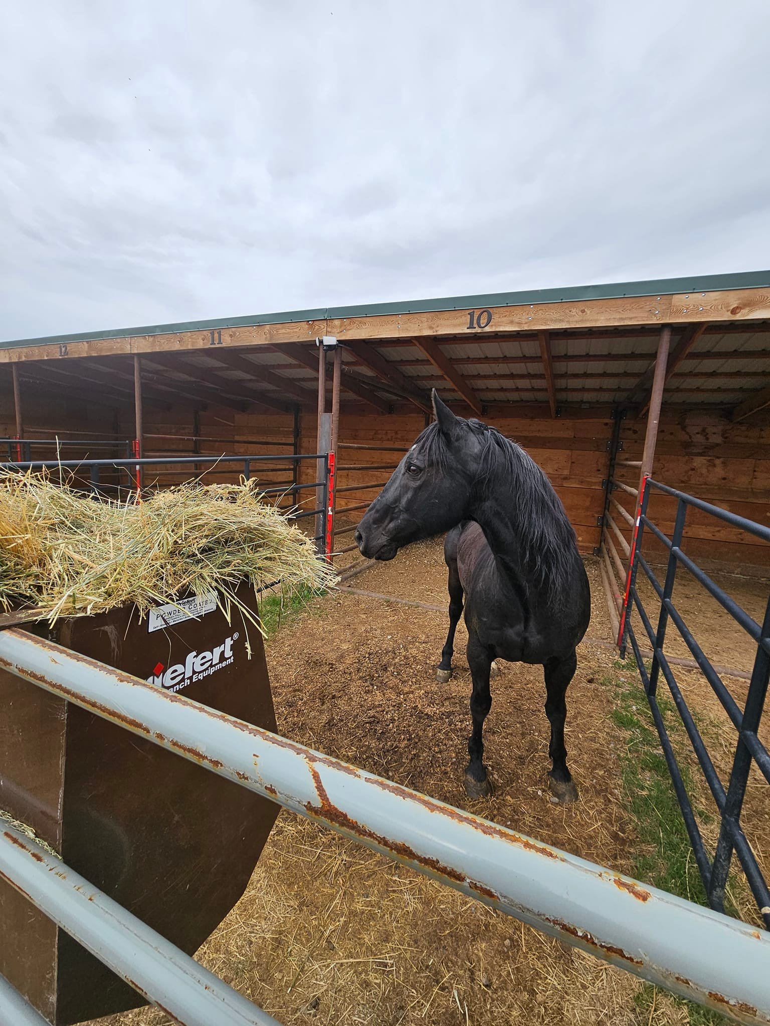 Johnson's Corner Ranch | Sand Coulee MT