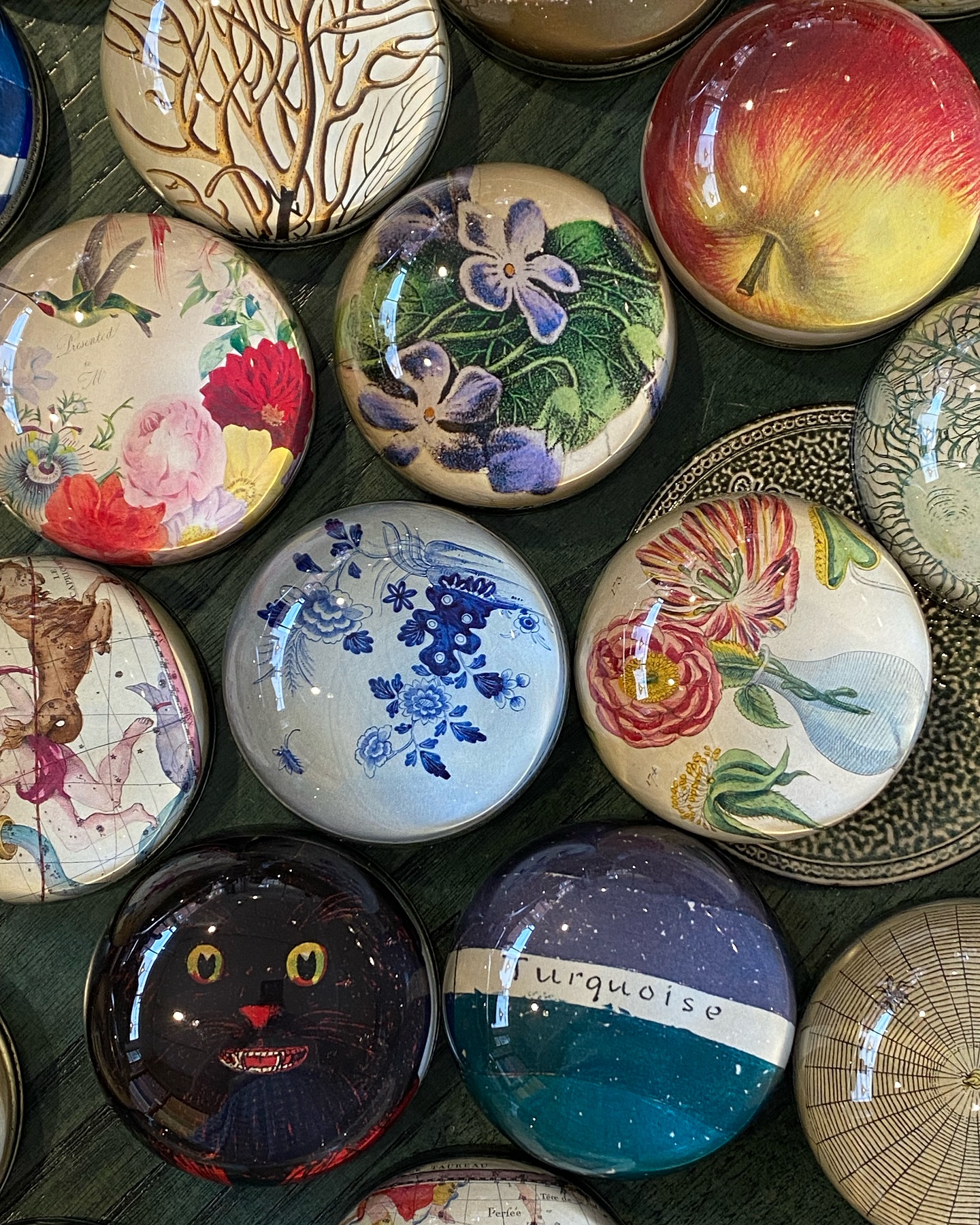 A bounty of John Derian paperweights - cats, apples, flowers… Made 