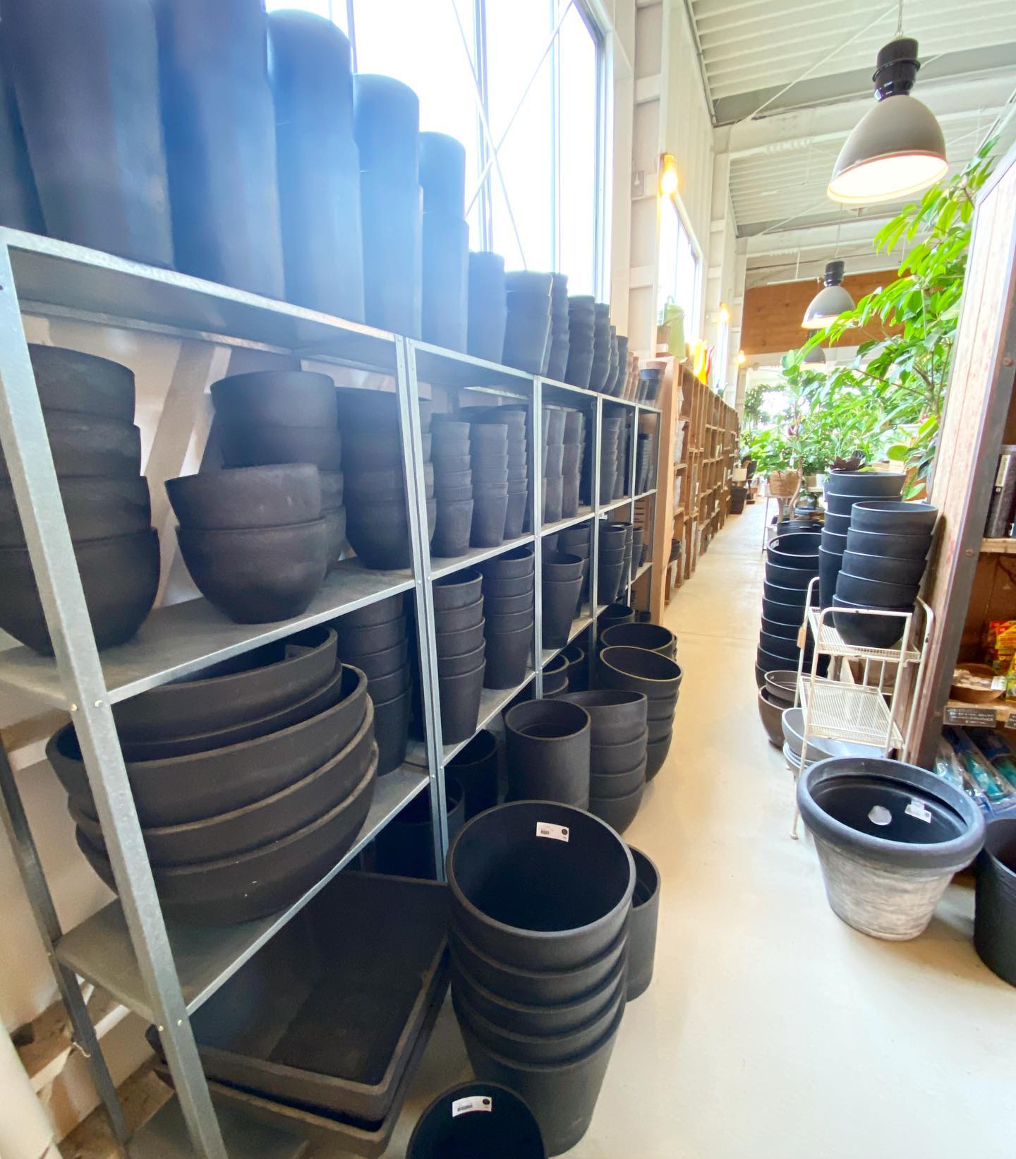 The Grove Store 黒プラ鉢が大量に入荷しました 今なら いろんなサイズが揃っていますよ 穴あけも無料で行います 混雑時の大量穴あけはお待ちいただく場合があります 人員不足のため 通信販売は行なっておりません 何卒ご容赦ください