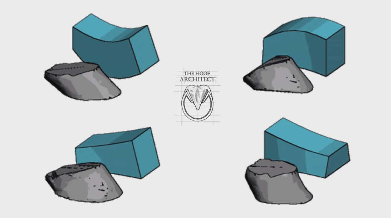 The Equine - How can material science help us understand hoof ...