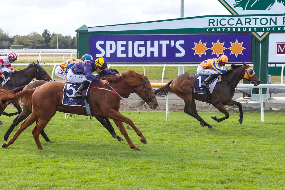 Te Akau Racing - Te Akau Wingatui Saturday Preview 🍊 Te Akau Racing has ...