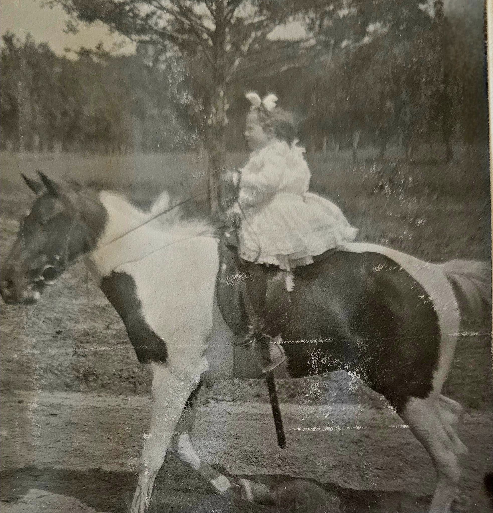 Miss Pansy Ireland and her beloved pony Chintz