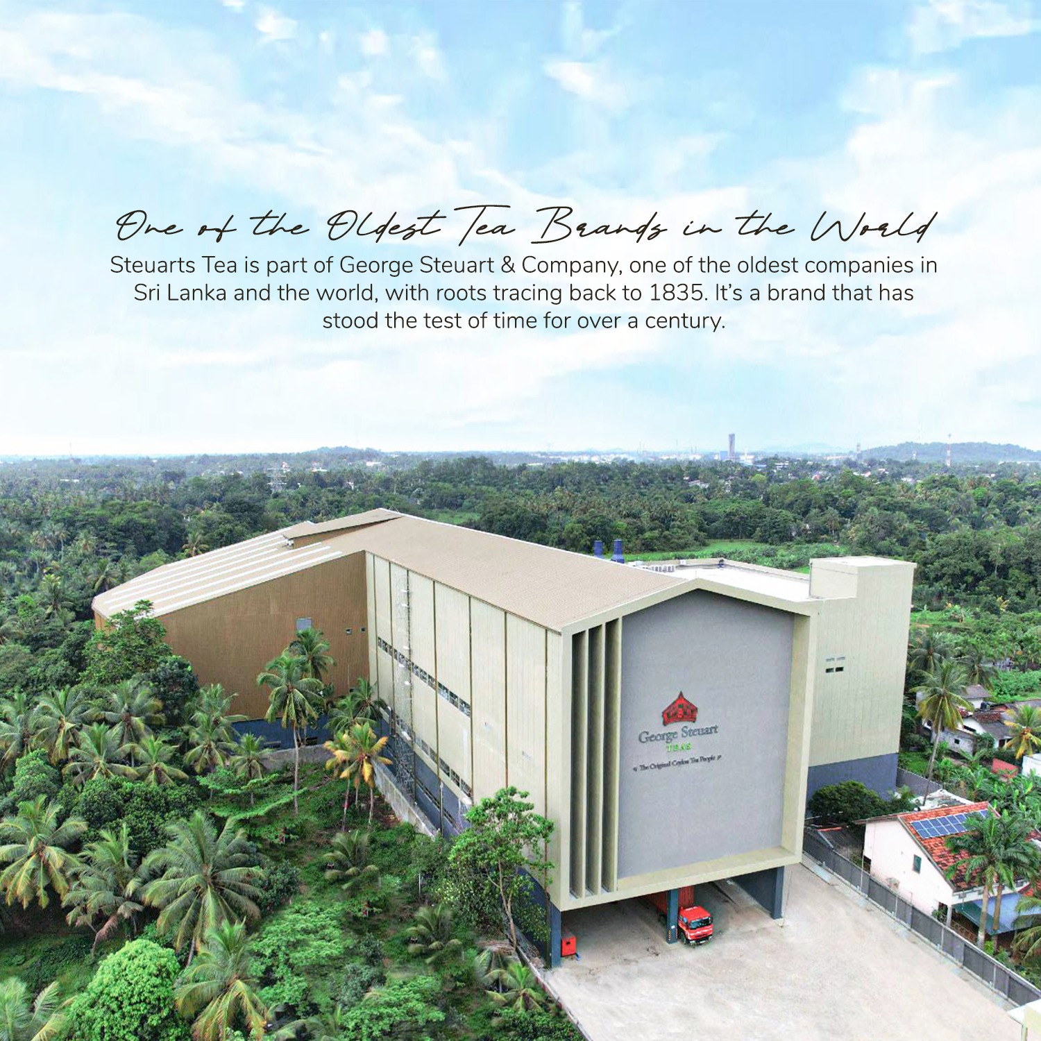 Did You Know? George Steuarts... - Steuarts Tea Philippines