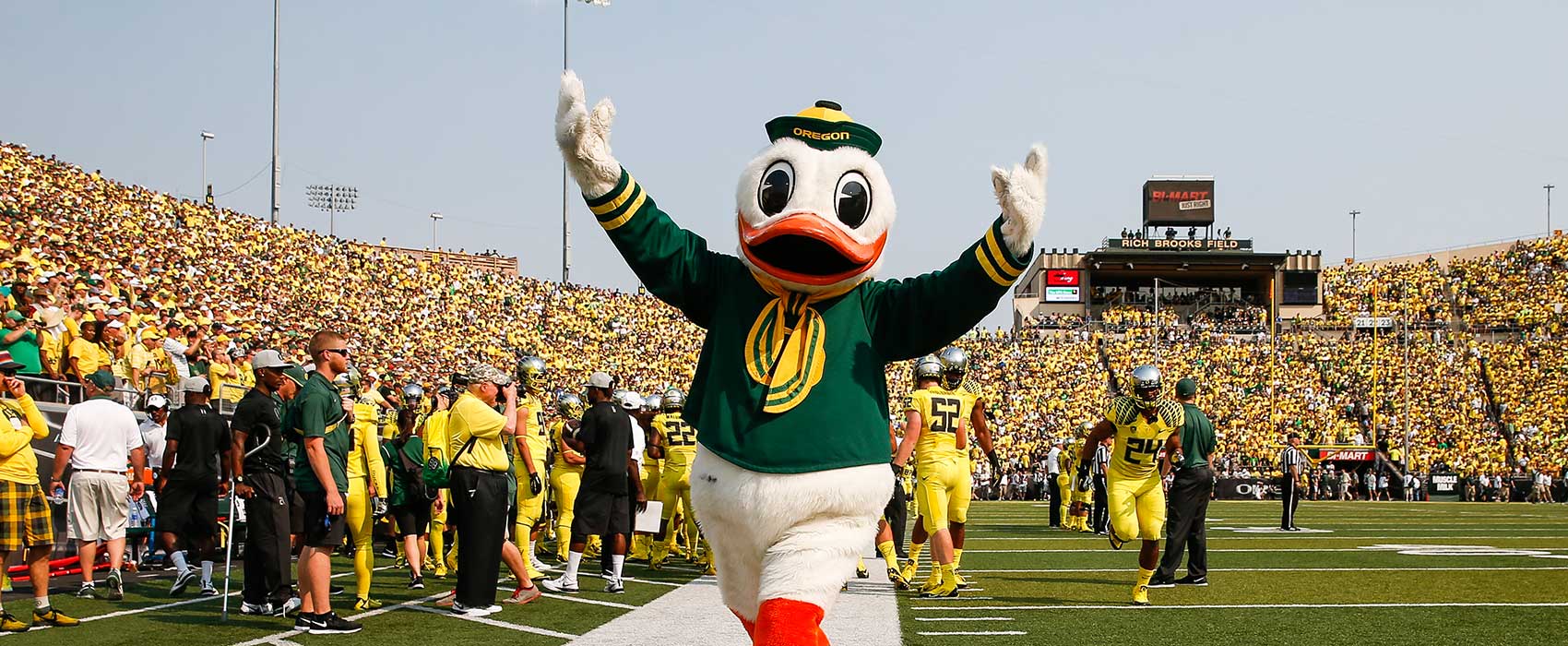 Duck Memes - Is this ranking accurate? | Facebook