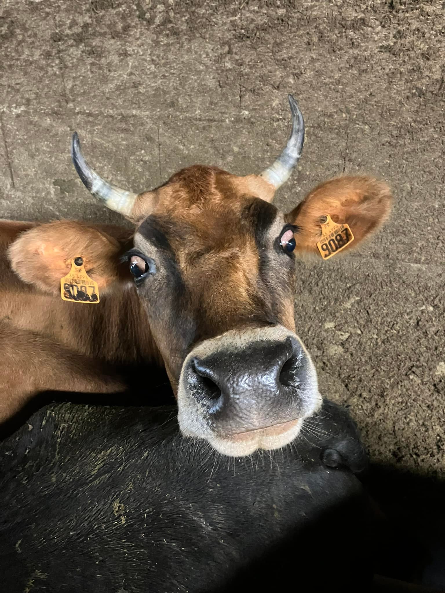La Ferme du Grain à moudre | Miniac-sous-Bécherel