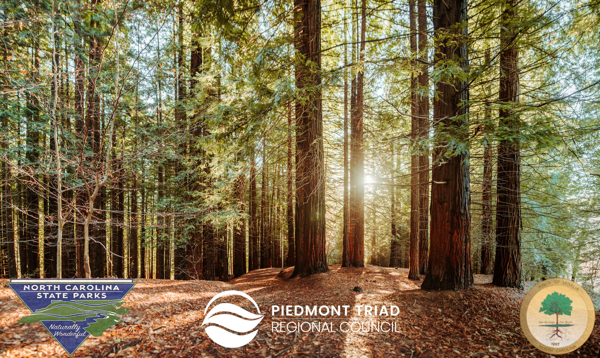 Piedmont Triad Regional Council - Planning Department | Kernersville NC