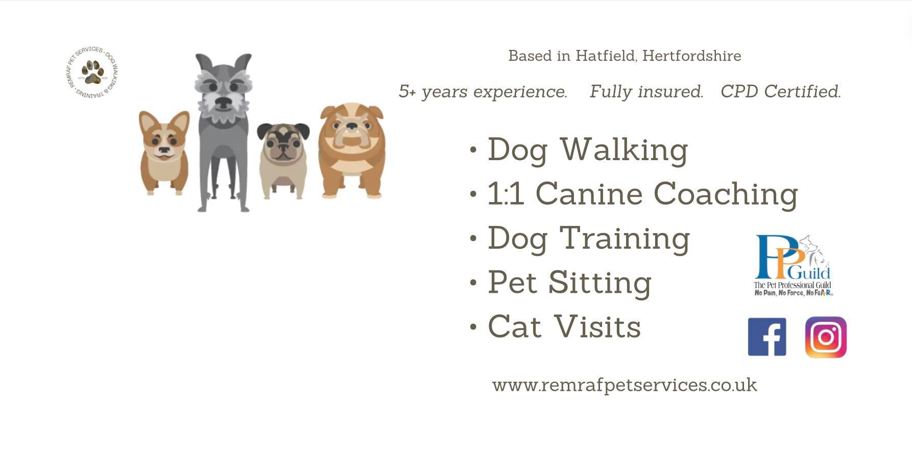 Remraf Pet Services : Dog Walking & Training | Hatfield