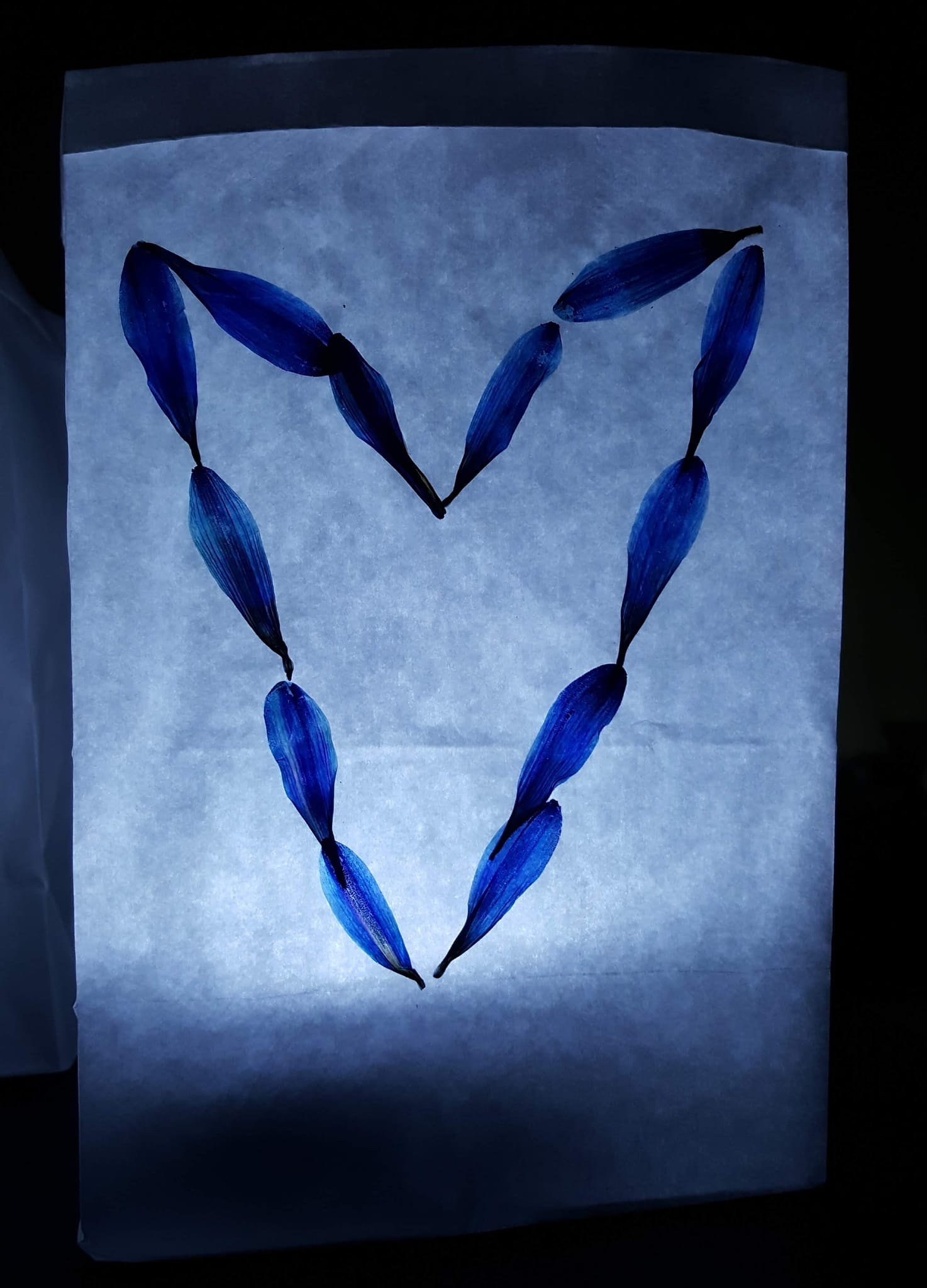 Libassi Art
