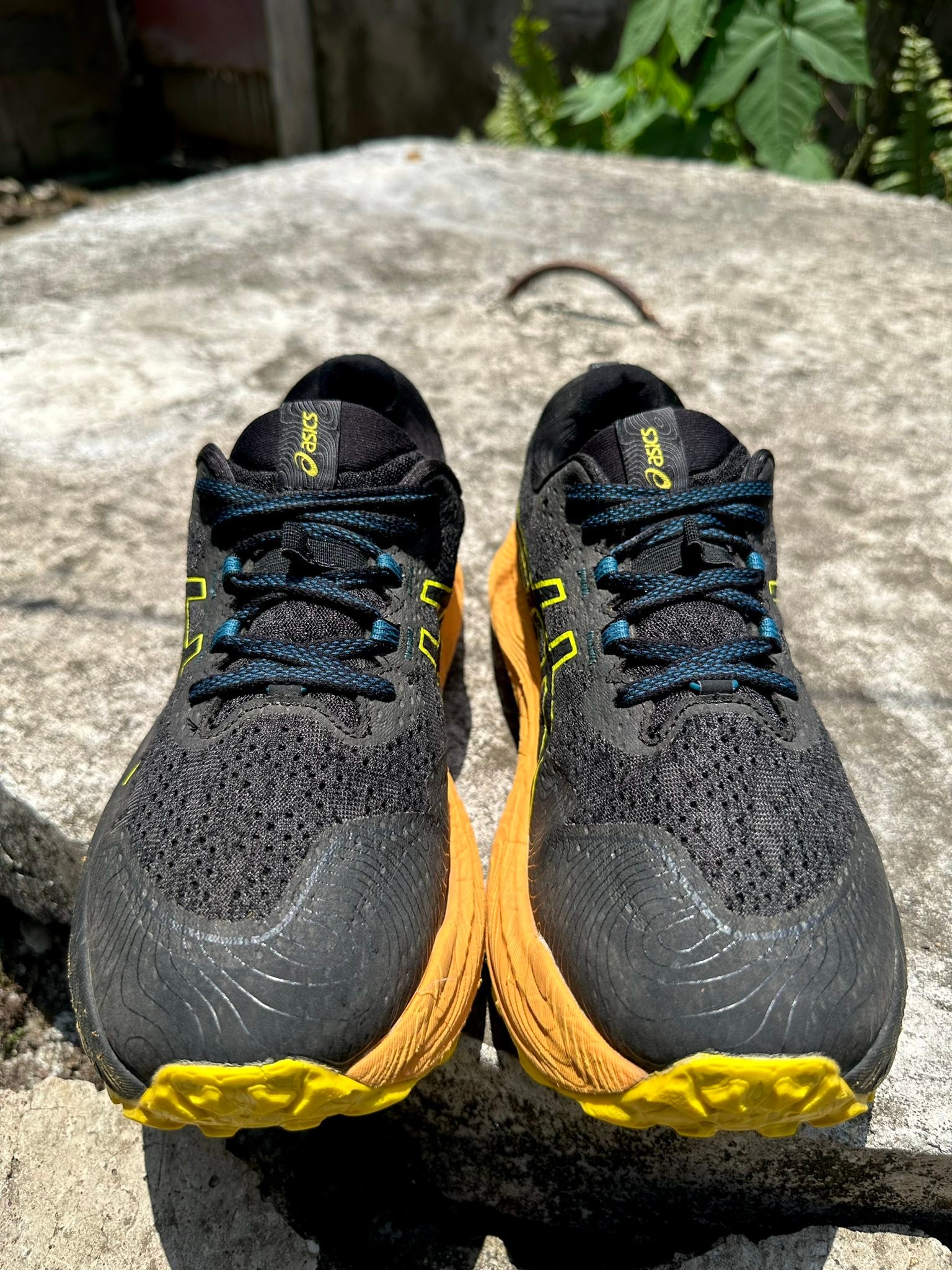 Asics Trabuco Max 2 running shoes for sale