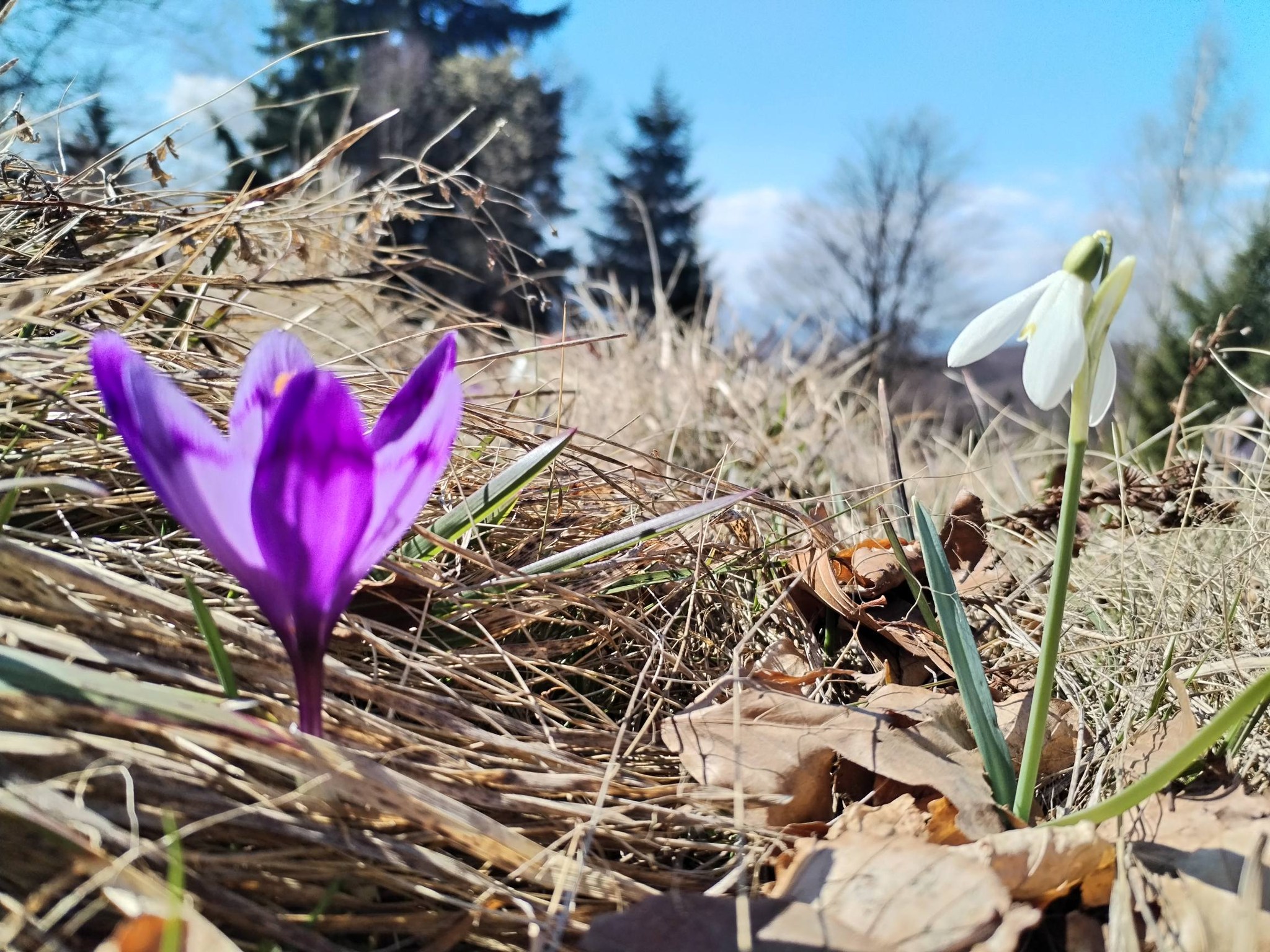 Inlan la Tuzla - Inlan la Tuzla added a new photo.