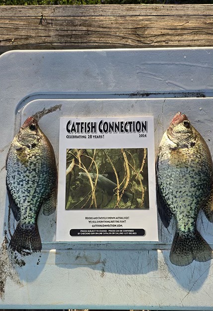 Catfish Connection | Pana IL