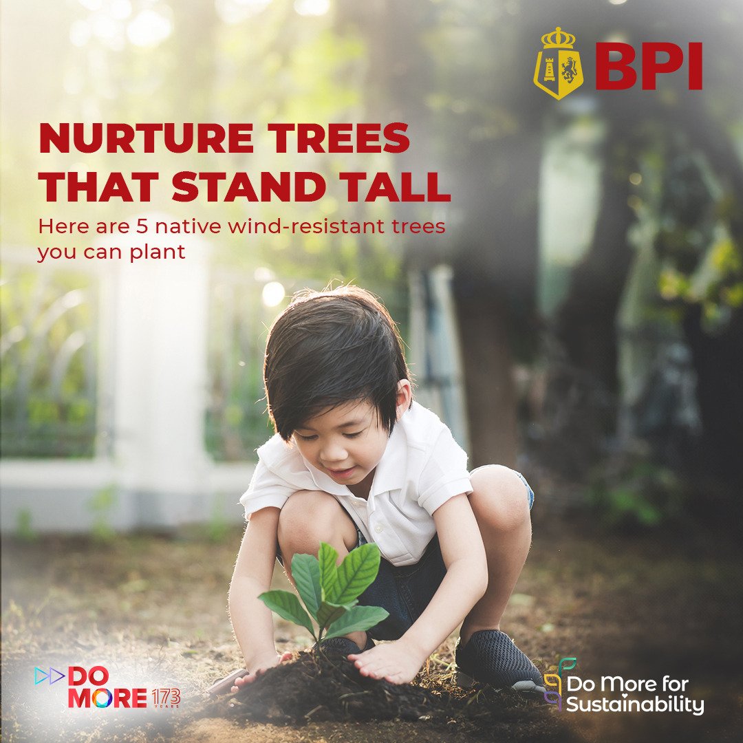 BPI - By planting the right trees, we can help do more to protect our ...