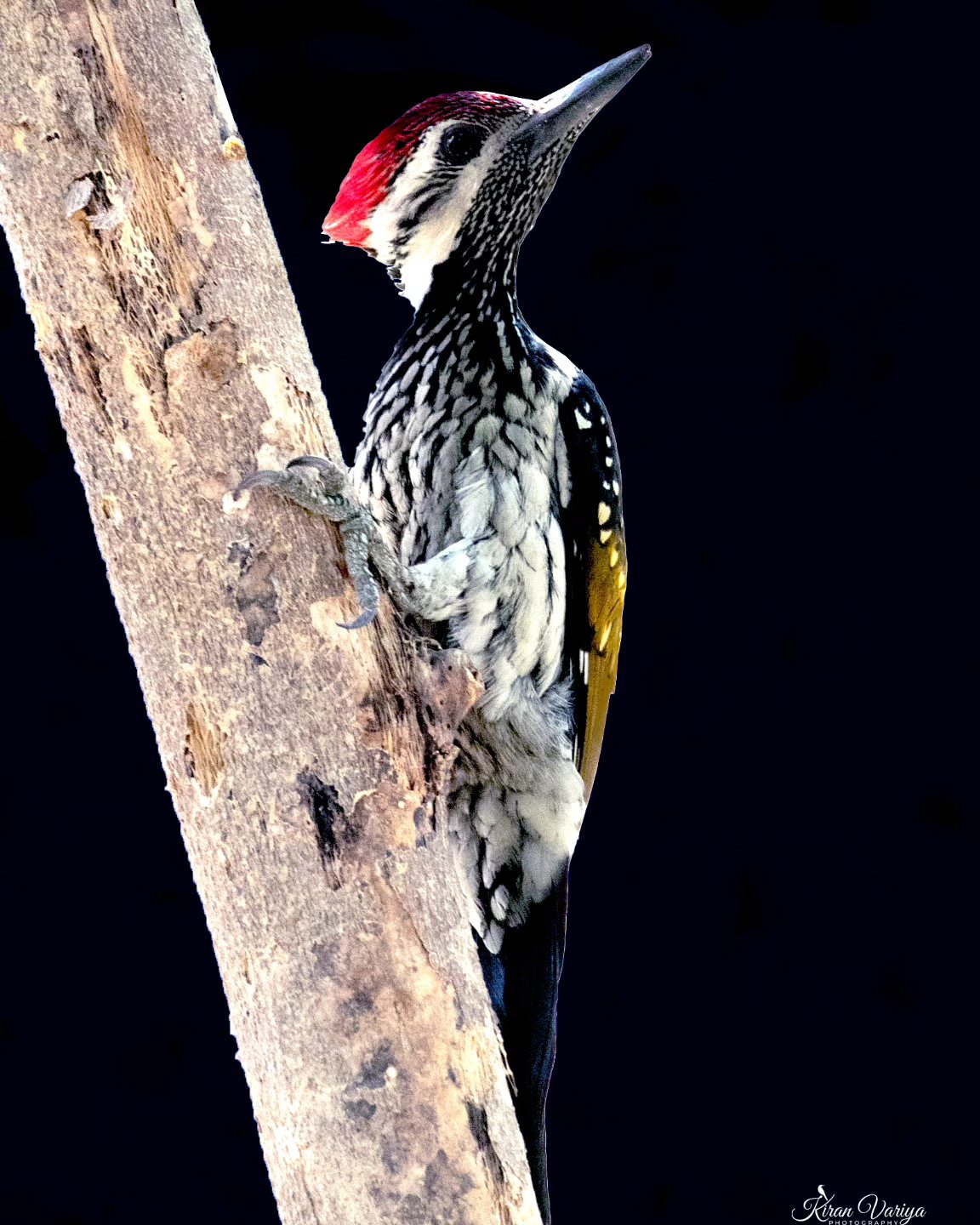 Kiran Variya