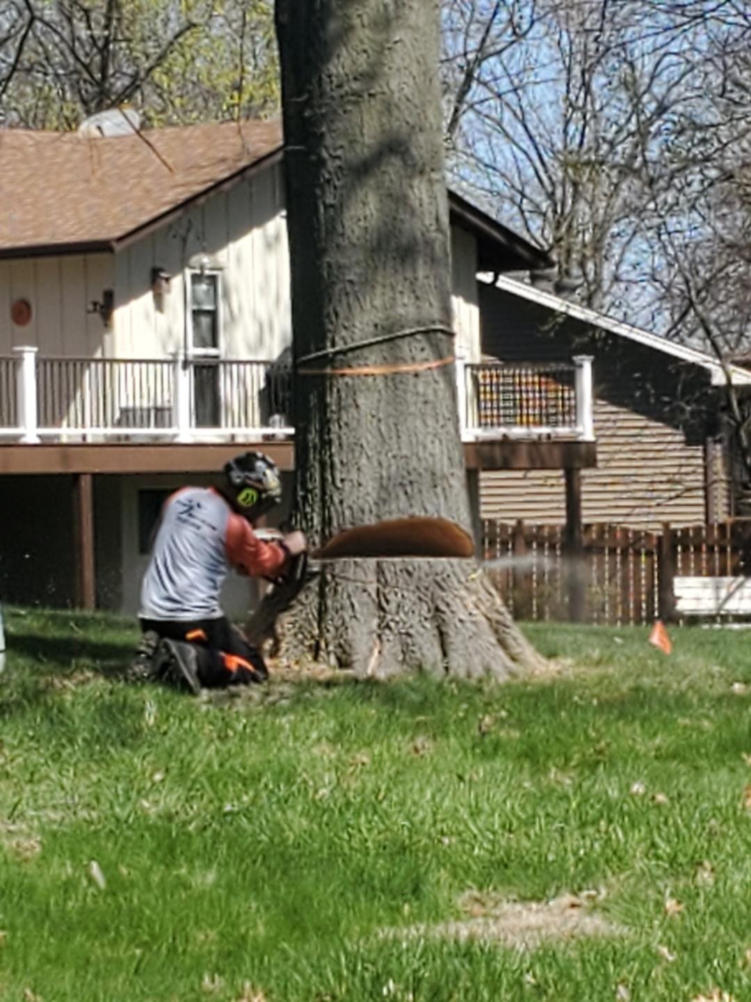 Tree Jay Services, LLC | Saint Peters MO