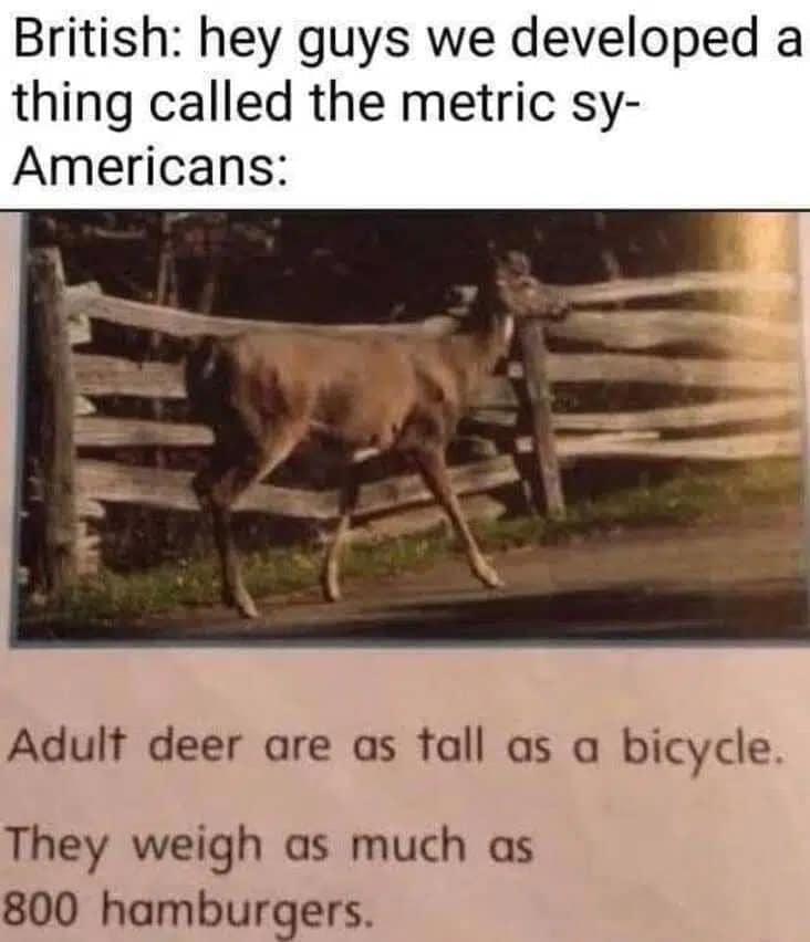 27 Examples That Show Americans Will... - The Language Nerds | Facebook