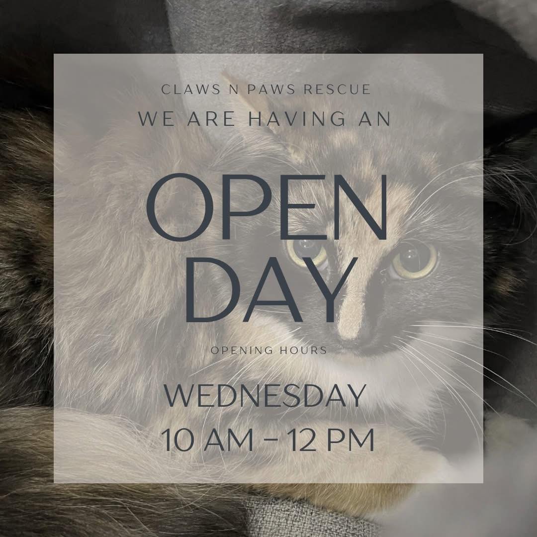 🎉We are so excited to announce... - Claws 'n' Paws Rescue | Facebook